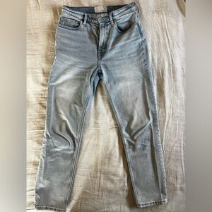 Everlane Blue and Gray Denim Jeans